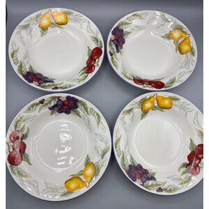 Set Of 4 Totally Today Fruit Design Ceramic Shallow Bowls Soup Salad